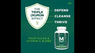 M Mun Jeunesse .Обзор/Состав/Применение Эмьюн от Женес (m·mun™ Algae)