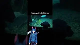Oceanário de Lisboa with stitch #audhd #stitch #hydrate #portugal #Oceanário #lisboa