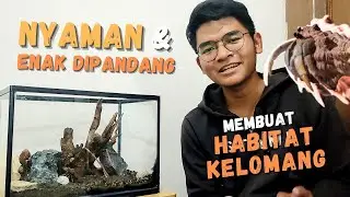 MEMBUAT RUMAH KELOMANG YANG ENAK DIPANDANG | TIPS KECIL-KECILAN #5
