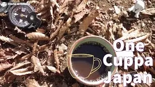 One Cuppa Japan: Moroccan Coffee, Mountaintops, and Wild Piglets