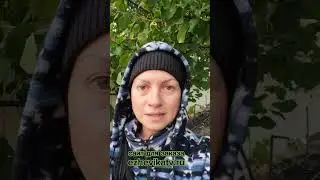 Массовые отправки саженцев окончены. Отправляем до конца октября
