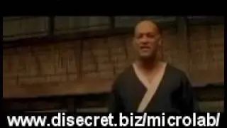 Хочешь победить - освободи свой разум(www.disecret.biz/microlab/).wmv