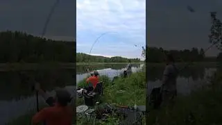 Фидер Parabola от  Fish Art Studio 12 ft до 70 гр.