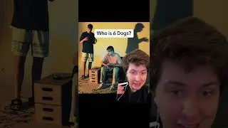 Who is 6 Dogs?