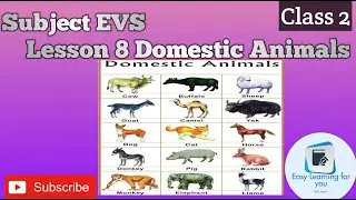 Class 2 EVS । LESSON 8 Domestic Animals। domestic animals।