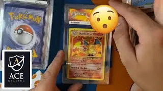 ACE GRADING Cards Return and they're AWESOME