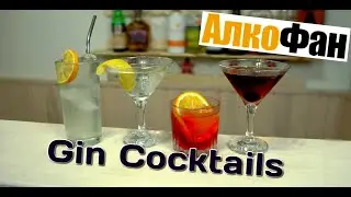 Simple gin cocktails other than gin and tonic - recipes for home use