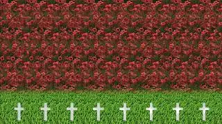 Remembrance Day - Veterans Day - In Stereogram - Let's never forget - Last Post