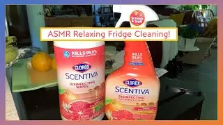🌞🌊🧡🍊 Requested! ASMR Fridge Cleaning! w/ Clorox Scentiva Tahitian Grapefruit Splash! 🍊🧡🌊🌞