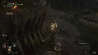 Elden double repost