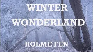 Winter Wonderland Photography at Holme Fen