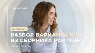 РАЗБОР ВАРИАНТА №14 ИЗ СБОРНИКА РОХЛОВА 2024| ЕГЭ ПО БИОЛОГИИ| НОО