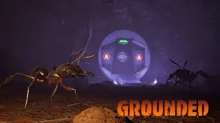 Grounded - The Black Ant Lab