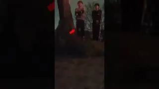 Something followed him home.. 