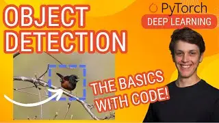 Simple Object Detection with a CNN (From Scratch): Pytorch Deep Learning Tutorial