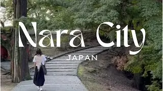 Nara City, Japan │ Deer Park │tasty mochi │