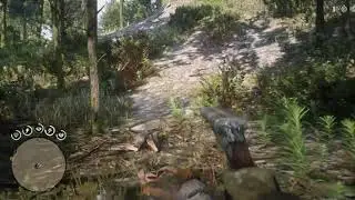 RED DEAD REDEMPTION 2 - Double-Kill!