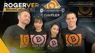 Bitcoin Cash Token Wallets Have Arrived! 1 CENT Average Transaction Fees 😱& More Bitcoin Cash News