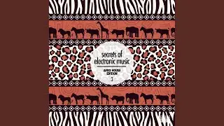 Tanzanian Dance (Original Mix)