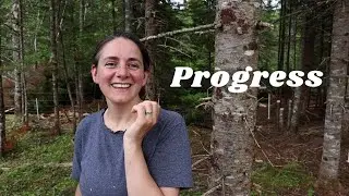 I Started With Zero Homesteading Skills