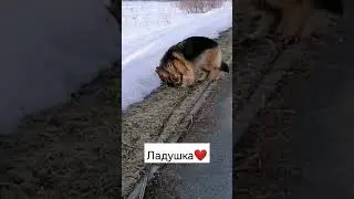 Мамулечка дома. Прогулка с Ладушкой❤️