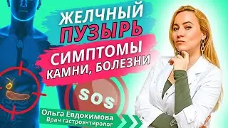 Гастроэнтеролог против мифов о желчном пузыре. Симптомы, проблемы и болезни желчного пузыря