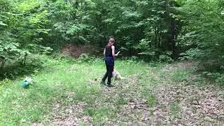 Рядом по-умолчанию