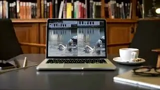 Стабилизация видео в Vegas Pro