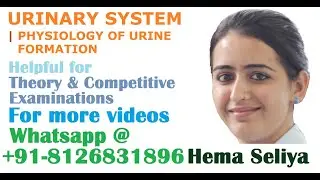 URINARY SYSTEM | PHYSIOLOGY OF URINE FORMATION