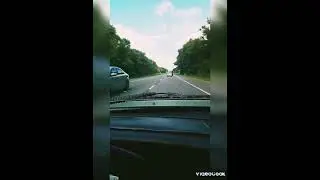 #доброеутровидеоютуб #дароватьсвободу #силавправде #солнышко