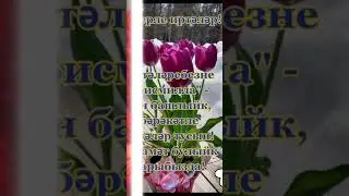 Хэерле жомга иртэсе белэн🤲