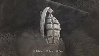 Finding Fir Pine Cone (Grenade) - The Vanishing of Ethan Carter