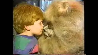 Cats Musical at the Rosemont Theater Commercial (1999)
