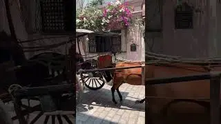 Kalesa