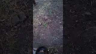 Автомат для наполнения бака водой.