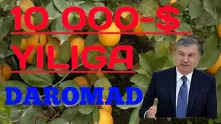 Limon biznesi