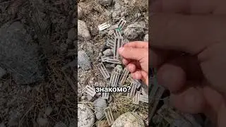 Артефакт из прошлого❓
