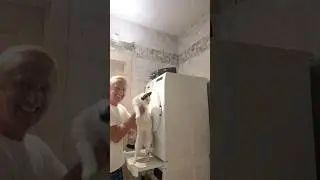 Скучно дома