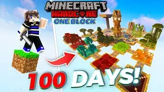 I Survived 100 Days In One Block Hardcore Minecraft | Hindi