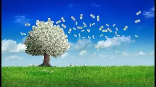 "Towards a single common information architecture for sustainable investing" with Dr Tim Wittig