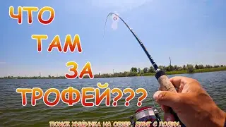 Поиск окуня на озере. Джиг с лодки. Окунь бил котлы!!!