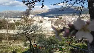Pocophone F1 4K@60FPS auto focus test