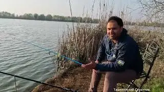 Рыбалка в Узбекистане. Озеро Яваш в Чиназе.