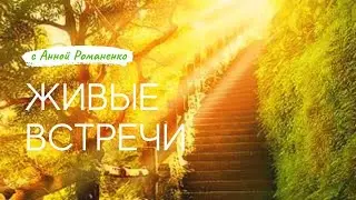 Живые Встречи. Встреча №6 - Сила Созерцания
