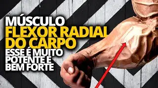MÚSCULO FLEXOR RADIAL DO CARPO