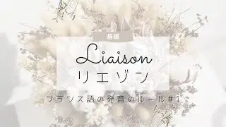 フランス語の基本的な発音ルール①｜リエゾンとはなにか？