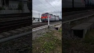 "Интересный груз!" - ВЛ10у - 396 с новыми китайскими тракторами!