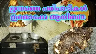 dailyvlog |തൊടിയിൽ നിന്ന് എന്തെങ്കിലും കിട്ടിയാൽ സന്തോഷമായി |