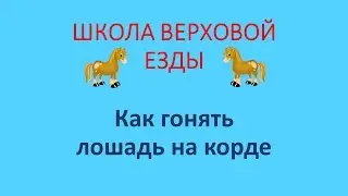 Как лошадь гонять на корде