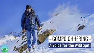 Gompo Chhering - A Voice for the Wild: Inspiring Local Leader in Wildlife Protection
